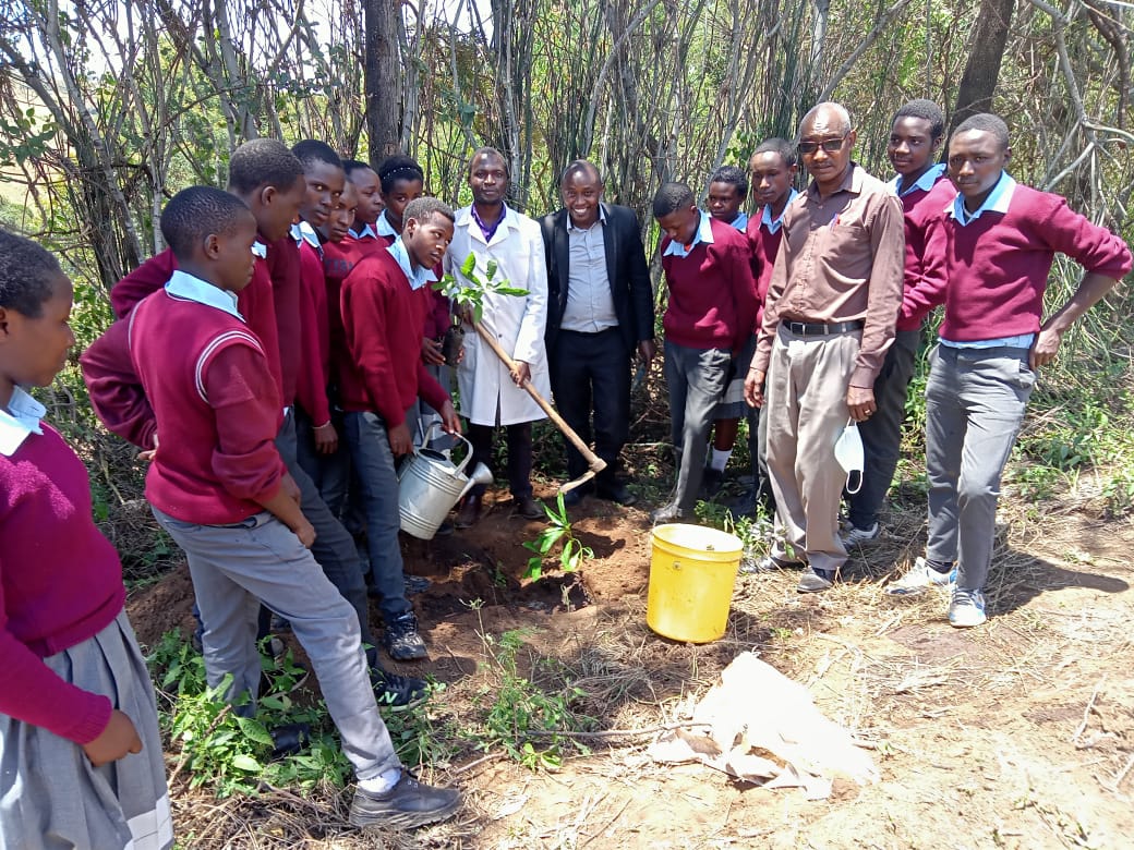Feeding African Children
